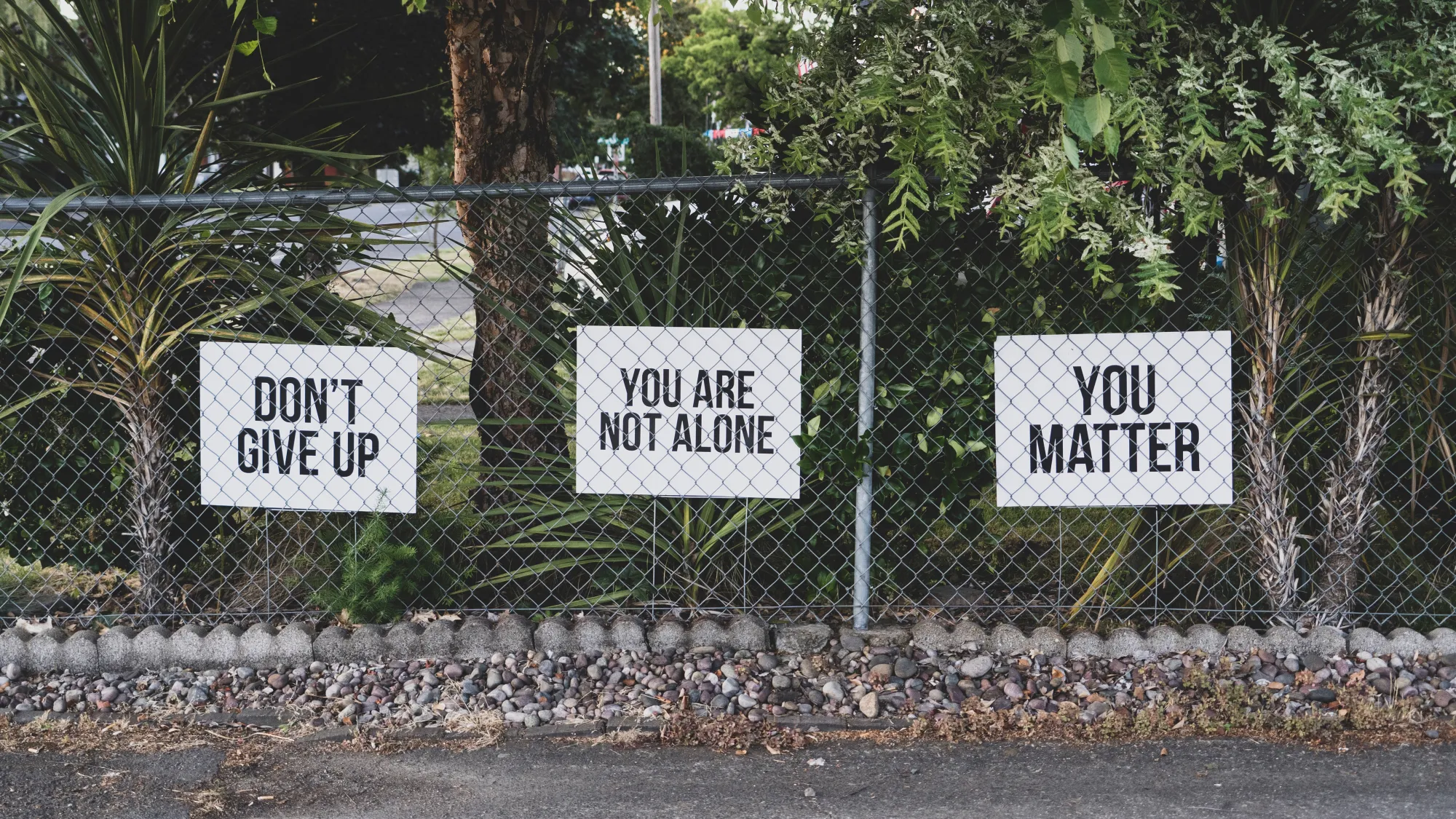 Three signs behind a fence that read "Don't Give Up," "You Are Not Alone," and "You Matter."