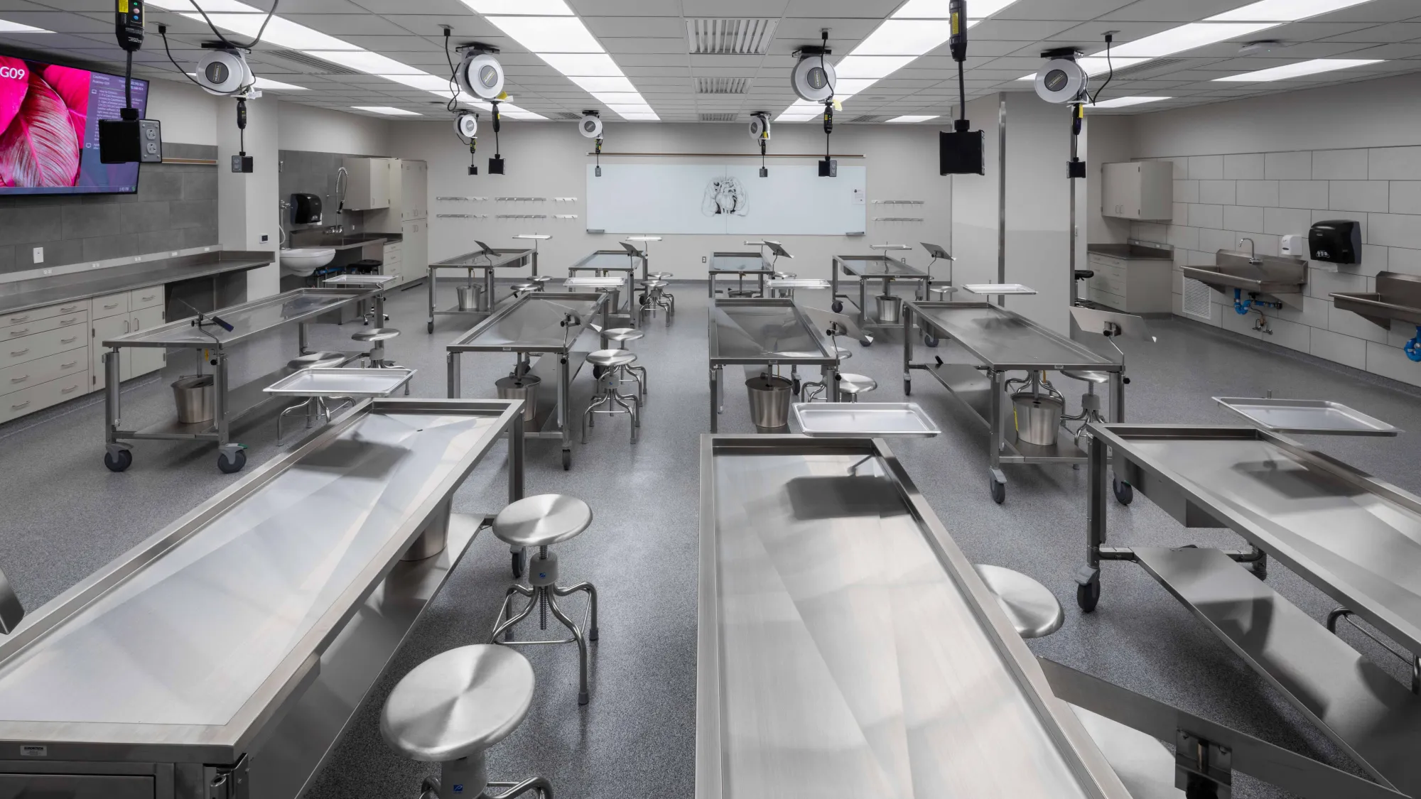 classroom with stainless steel dissection tables