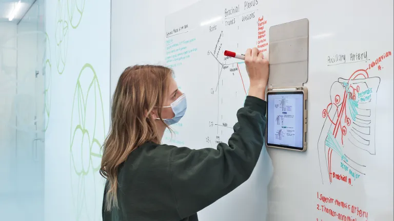 Person wearing a medical mask using a large whiteboard and an iPad to write and study.