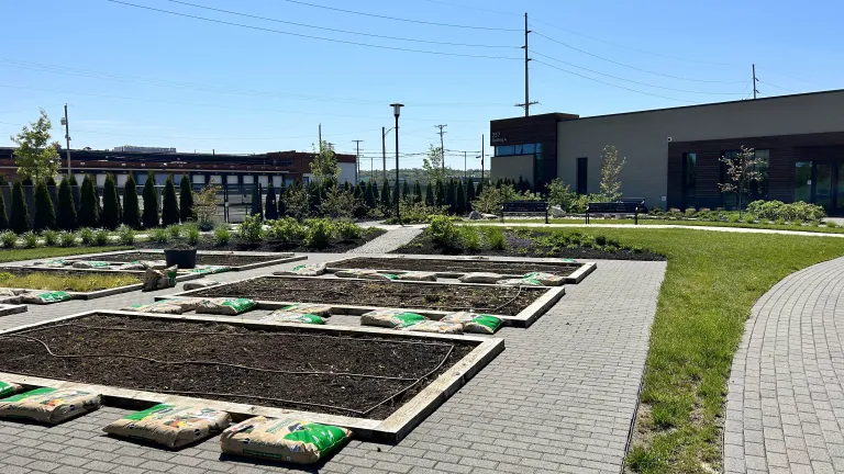 community garden