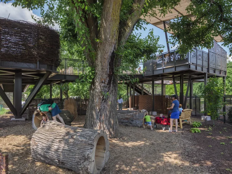 Outdoor natural play area with logs and a canopy jungle gym area