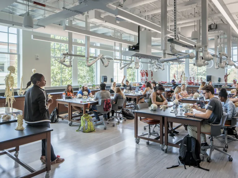 Biology class in session in a brightly lit classroom.