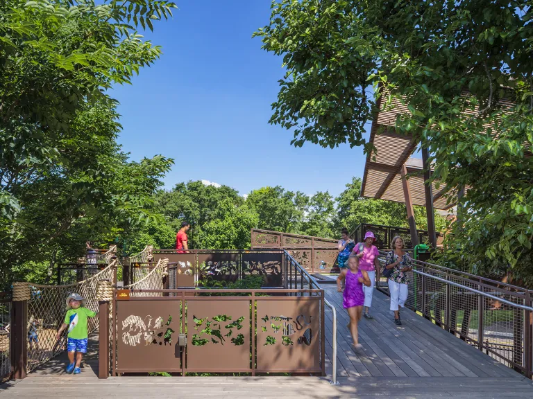 People walking through nature on an elevated boardwalk through the forest.