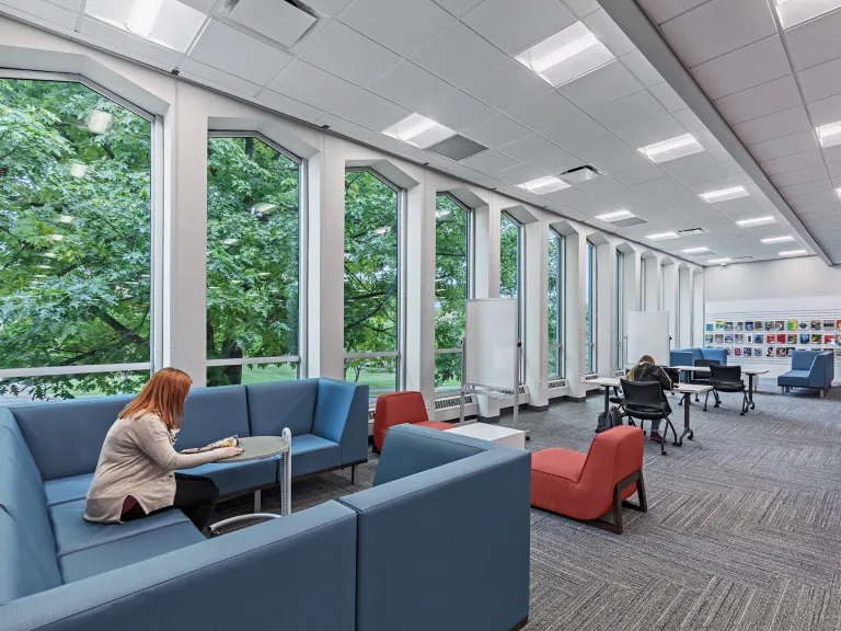 People working in a brightly lit library room.