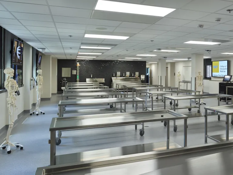 anatomy lab